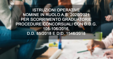 ISTRUZIONI OPERATIVE NOMINE IN RUOLO